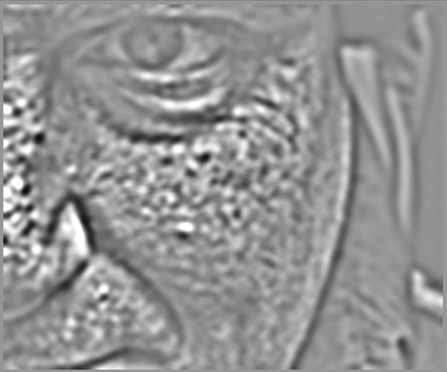 wavelets-layer-scale-5