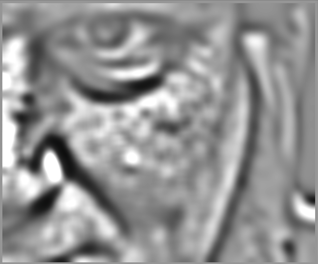 wavelets-layer-scale-6